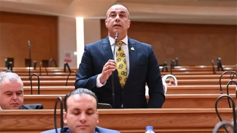 بلتاجي: تعظيم القيمة المضافة للثروات المعدنية مفتاح تحويل التعدين إلى قاطرة للصناعة