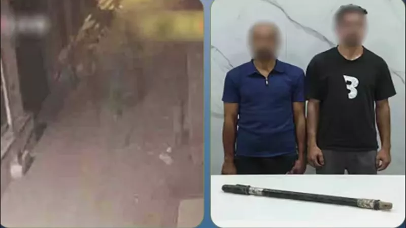 ضبط عاملين بعد التعدي على آخر وإصابته بعصا خشبية في منيا القمح