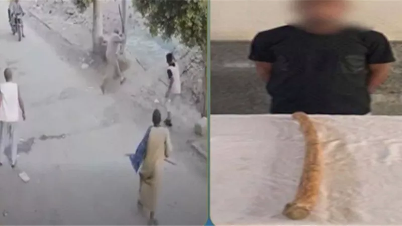 بسبب خلافات الجيرة.. القبض على عامل اعتدى على آخر بعصا خشبية في أسيوط 