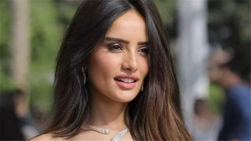 بسبب السن.. النيابة تبرئ طفل الشيخ زايد من اتهامات الفنانة زينة