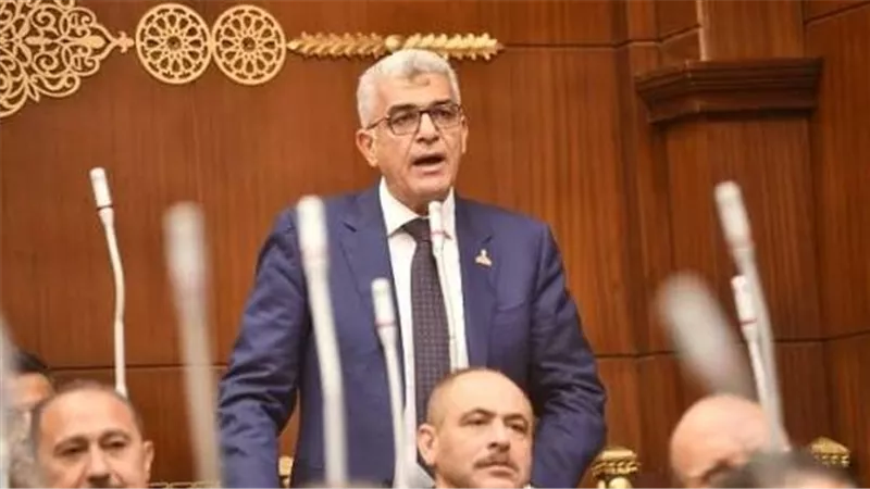 برلماني: رسائل الرئيس خلال اجتماع اليوم تؤكد أن الدولة تدرك حجم المخاطر