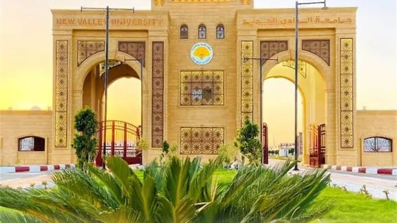 18 أكتوبر.. رئيس جامعة الوادي الجديد أمام محكمة الجنح لامتناعه عن تنفيذ حكم قضائي
