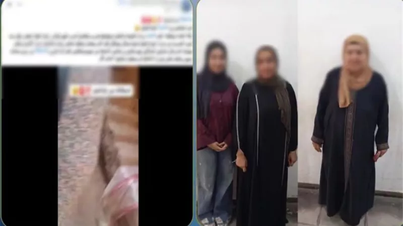 خلافات أسرية وراء مشاجرة بين سيدة وزوجة نجلها وشقيقتها بالغربية
