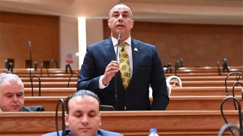 برلماني: تأجيل «الإجراءات الجنائية» خطوة مهمة لاستكمال الاستعدادات وضمان التطبيق السليم للقانون