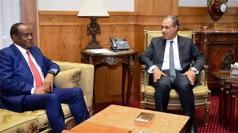 وزير الخارجية: مصر على استعداد لتقديم كافة أشكال الدعم الفني والتدريب لإريتريا