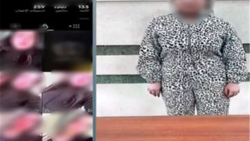 لزيادة المشاهدات والأرباح.. ضبط صانعة محتوى في جمصة