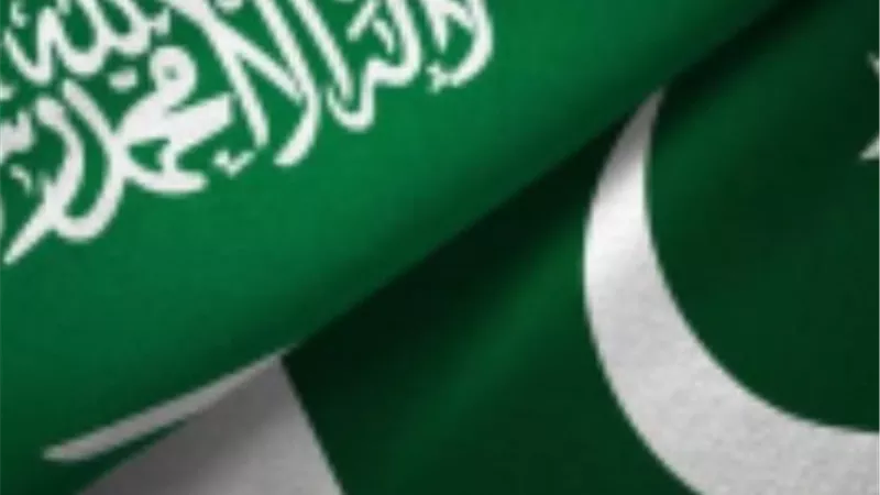 تهديد خطير للأمن والصحة.. باكستان تدين الهجوم على منشأة كهرباء بالمدينة المنورة