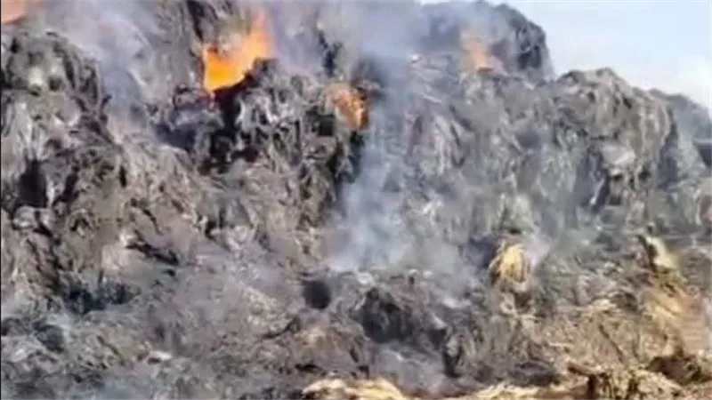 بالصور.. اندلاع حريق داخل موقع لتخزين قش الأرز في دكرنس بالدقهلية