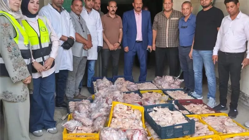 خلال 9 أشهر.. ضبط وإعدام 1791.2 كجم من اللحوم والمنتجات المخالفة بسوهاج