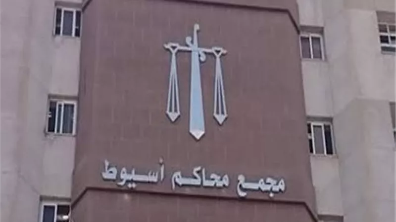 9 سنوات مشدد وغرامة 100 ألف جنيه لعامل في قضية الاتجار بـ«الشابو» بأسيوط