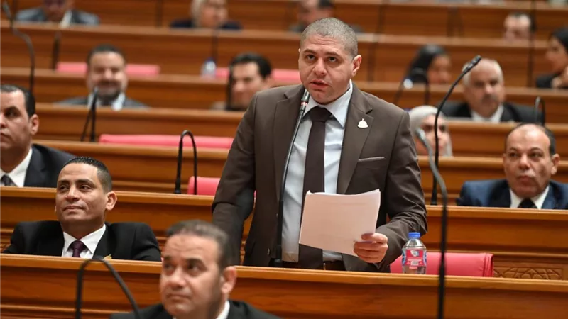 النائب أحمد جبيلي: تمويل مستدام وشراكات جديدة لفتح آفاق التنمية في إفريقيا
