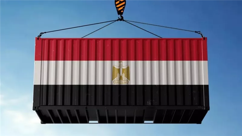 الصادرات تقترب من 900 مليون دولار.. مصر تعزز حضورها التجاري بأسواق «النيباد»