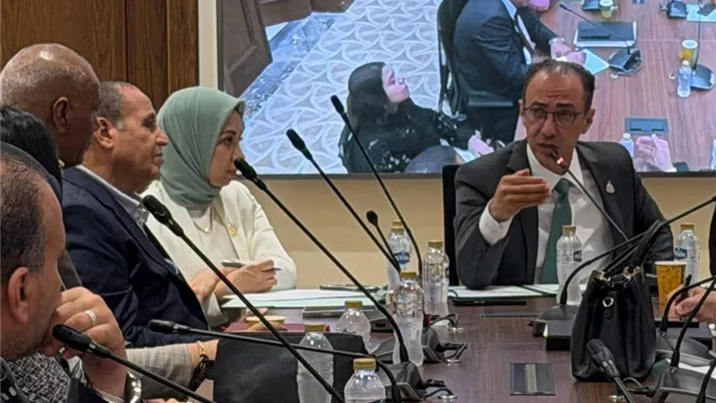 «صحة النواب» تضع الدواء والتكليف تحت المجهر.. حزمة توصيات لضبط المنظومة الصحية