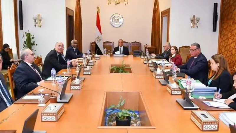 وزير الخارجية يبحث تطوير برامج الوكالة المصرية للشراكة وتعزيز دورها في إفريقيا