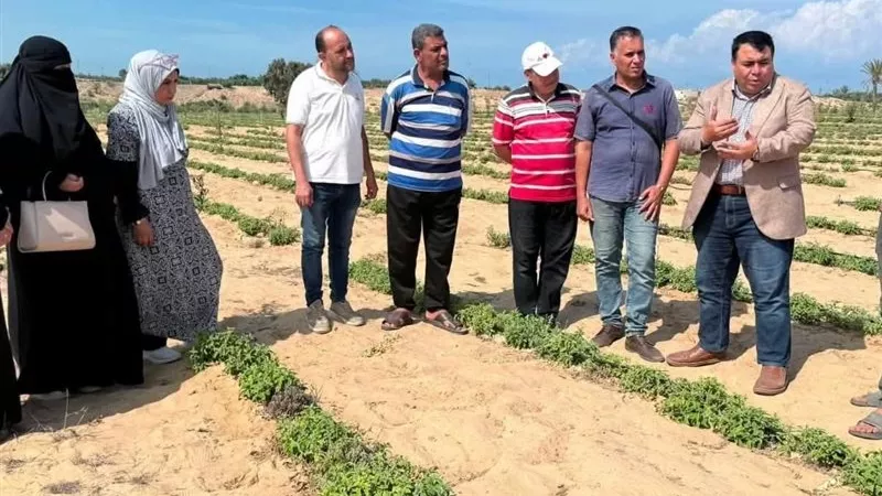 بعد 53 عامًا على نصر أكتوبر.. مشروعات ضخمة تدفع سيناء إلى قلب الاقتصاد المصري
