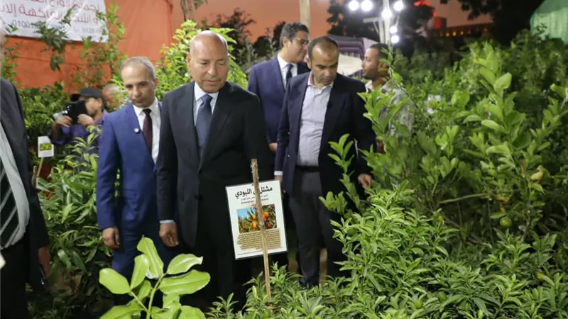 محافظ القاهرة: التوسع في المساحات الخضراء توجه أساسي لتحسين جودة الحياة بالعاصمة
