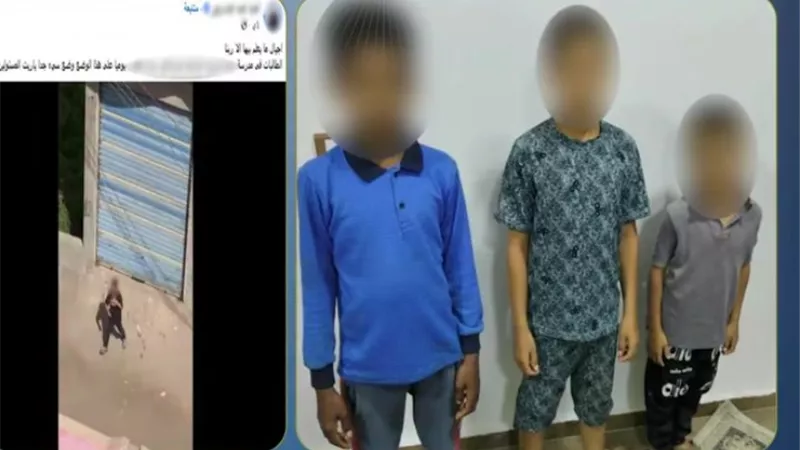 كانوا بيهزروا.. ضبط 3 طلاب ألقوا الحجارة على طالبات داخل مدرسة بالشرقية 