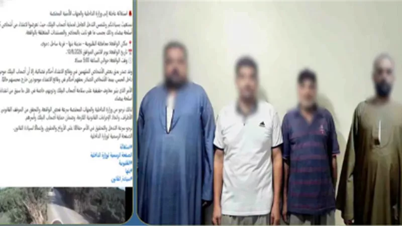 خلافات على أرض مستأجرة.. كواليس مشاجرة بنها وحقيقة ادعاءات البلطجة