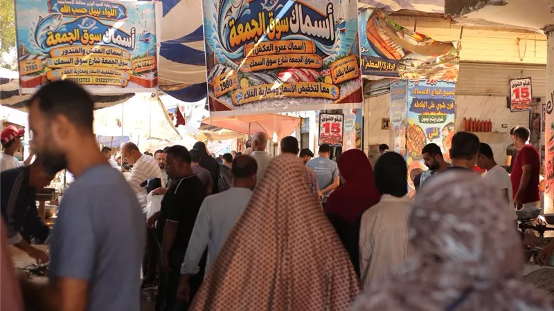 محافظ الإسماعيلية يتابع مبادرة «أسماك بأسعار مخفضة» بسوق الجمعة (صور)