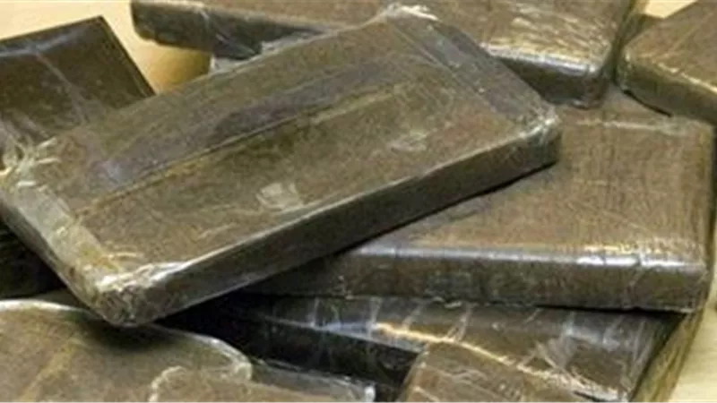 ضبط عامل وشقيقين بمركز طهطا لاتجارهم بالمواد المخدرة وحيازتهم أسلحة