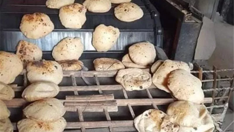 تحرير 22 محضرًا لمخابز مخالفة في حملات تموينية بالنوبارية وشبراخيت بالبحيرة