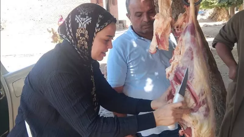 لحماية المواطنين.. تحرير 4384 مخالفة تموينية وضبط أغذية فاسدة بالمنيا