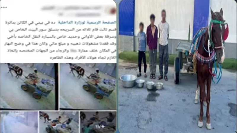 بعد تداول الفيديو.. ضبط المتهمين بسرقة منزل في شمال سيناء