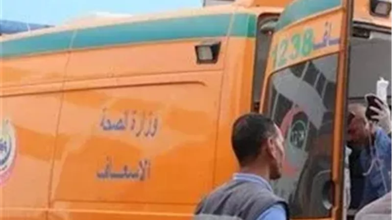 مصرع سائق جامبو أربعيني من المنيا في حادث انقلاب مروع بالأقصر
