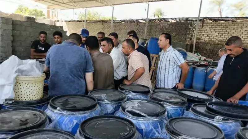 إزالة خطوط صرف مخالفة لـ12 مصنعًا لتخليل الزيتون بالفيوم