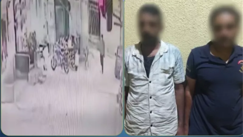 خططا لسرقة أموال موظفة الكهرباء أثناء توريدها بالبريد.. حبس متهمين في المنوفية