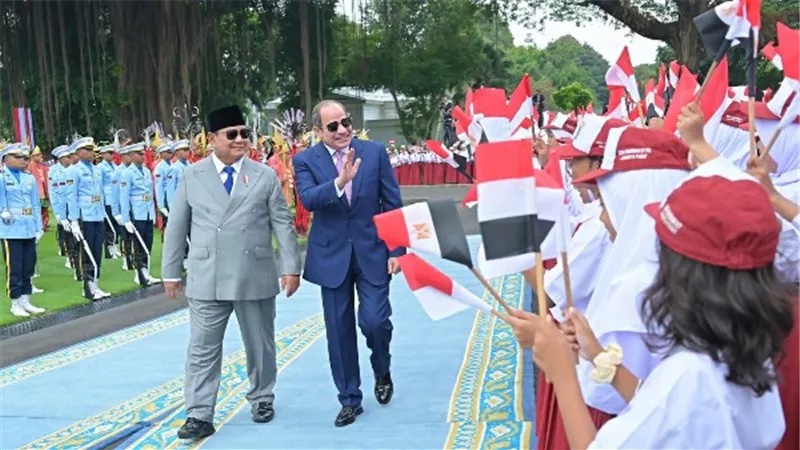 نائب: الشراكة المصرية الإندونيسية تفتح أبواب الاستثمار وتدعم الاقتصاد الوطني