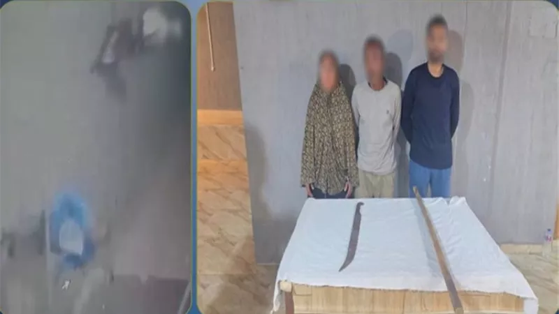 ضبط شخصين وسيدة ظهروا في فيديو يحملون عصا خشبية وسلاحًا أبيض بالمنوفية