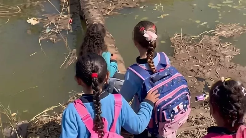 أقرب كوبري على بعد 150 مترًا.. تلاميذ يعبرون ترعة على جذع نخلة في قنا ومجلس المدينة يتحرك