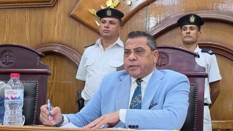 المشدد 10 سنوات لنجار خطف طفلًا وهتك عرضه.. و6 سنوات للمتهم بهتك عرض شاب من ذوى الهمم بالشرقية 