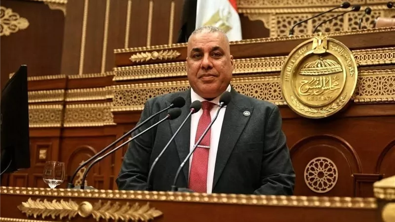 برلماني: منتدى مصر 2026 فرصة لتحويل الحوار الوطني إلى سياسات تنموية تلامس حياة المواطنين