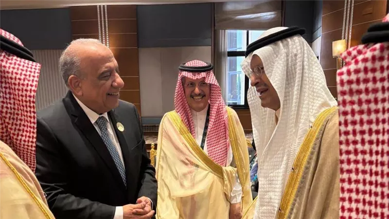 لقاء مصري سعودي بالرياض لبحث تشغيل خط الربط الكهربائي خلال أسابيع