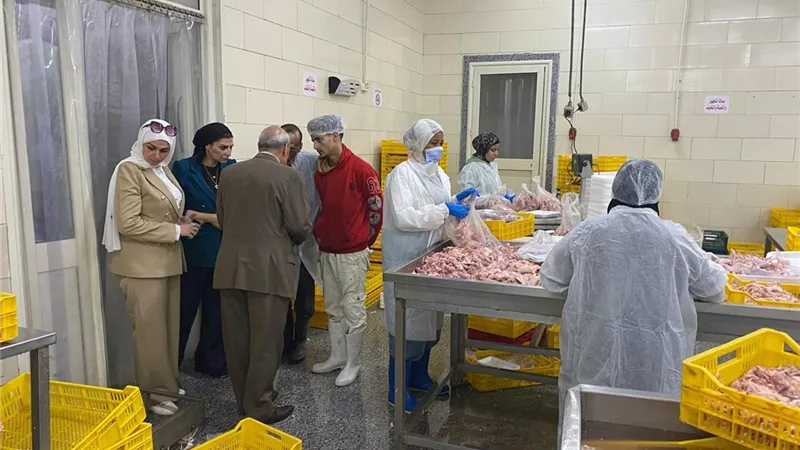 ضبط أكثر من 6 أطنان دواجن وزيتون غير صالح للاستهلاك بالإسماعيلية.. صور