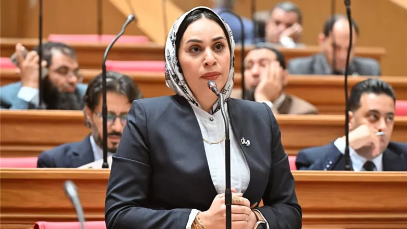 برلمانية: لا إصلاح للأحوال الشخصية بحلول مجتزأة.. نحتاج قانونًا متكاملًا يحمي الأسرة|خاص