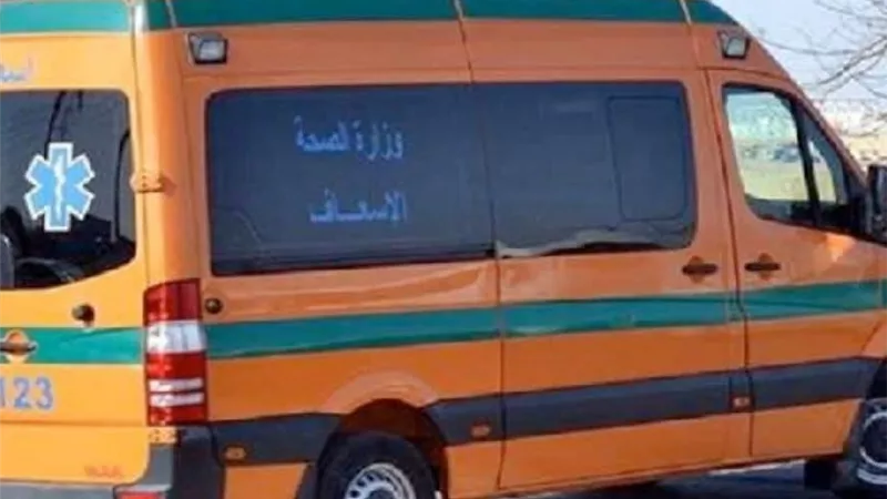 كانت بتعدي المزلقان.. مصرع سيدة صدمها قطار في البحيرة