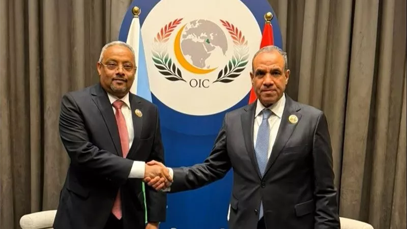 وزير الخارجية ونظيره الجيبوتي يبحثان سبل تعزيز العلاقات الثنائية والتطورات الإقليمية