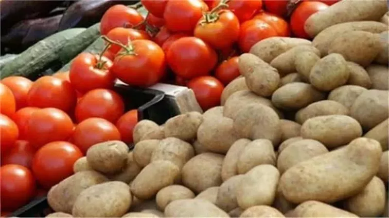 شعبة الخضروات: انخفاض أسعار البطاطس والبصل والطماطم في هذا الموعد 