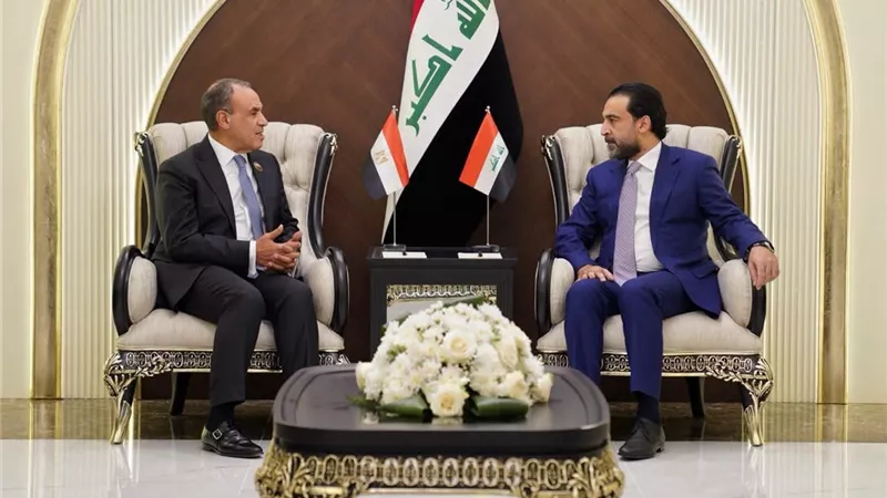 دعم مصر للعراق.. تفاصيل لقاء وزير الخارجية مع رئيس حزب تقدم العراقي 