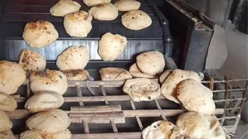 تموين البحيرة يحرر 31 محضرًا لمخابز مخالفة في كفر الدوار وشبراخيت