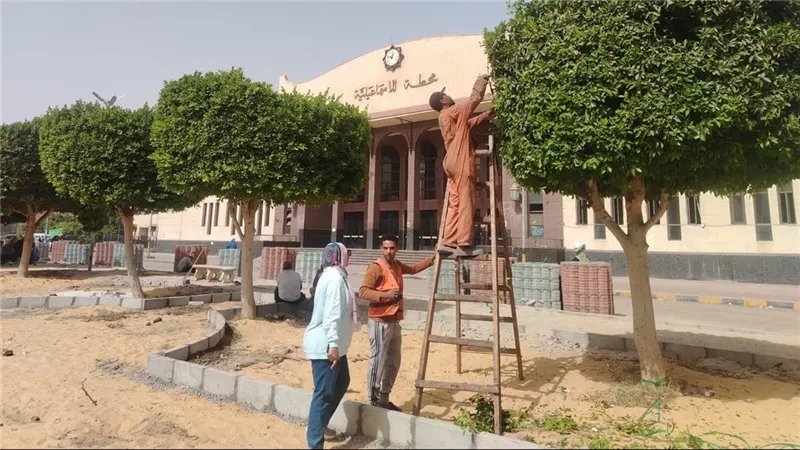 حقيقة قطع أشجار ميدان عرابي بالإسماعيلية.. المحافظة تكشف التفاصيل 