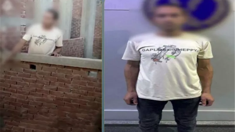 كشفه فيديو متداول.. ضبط عاطل حاول سرقة منزل في الإسكندرية
