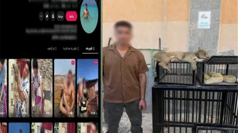 لزيادة المشاهدات والأرباح.. ضبط صانع محتوى يربي قطًا بريًا وثعبانين خطرين بكفر الشيخ