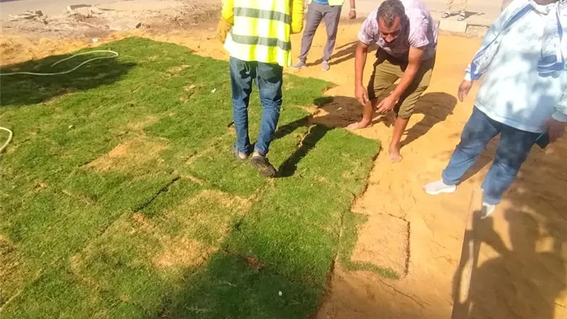 محافظ الإسماعيلية يوقف بناء برج محمول ويعيد حديقة السابعة لطبيعتها على نفقة الشركة في 24 ساعة 