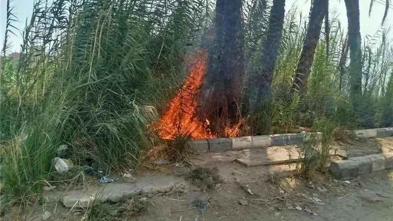 السيطرة على حريق اندلع على الطريق الزراعي في مغاغة بالمنيا