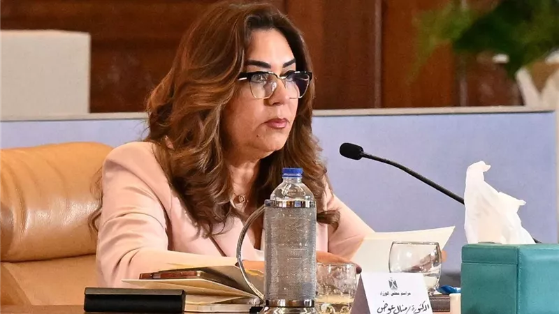 وزيرة التنمية المحلية تعلن الانتهاء من إعداد المخططات التفصيلية لمدينتي نخل والحسنة بمحافظة شمال سيناء