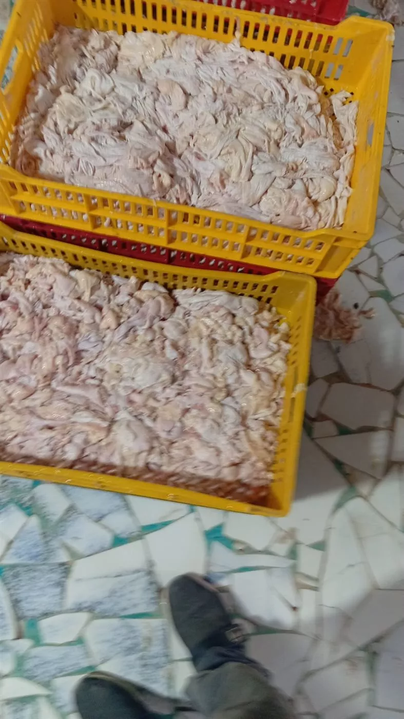 جانب من المضبوطات خلال الحملة&nbsp;
